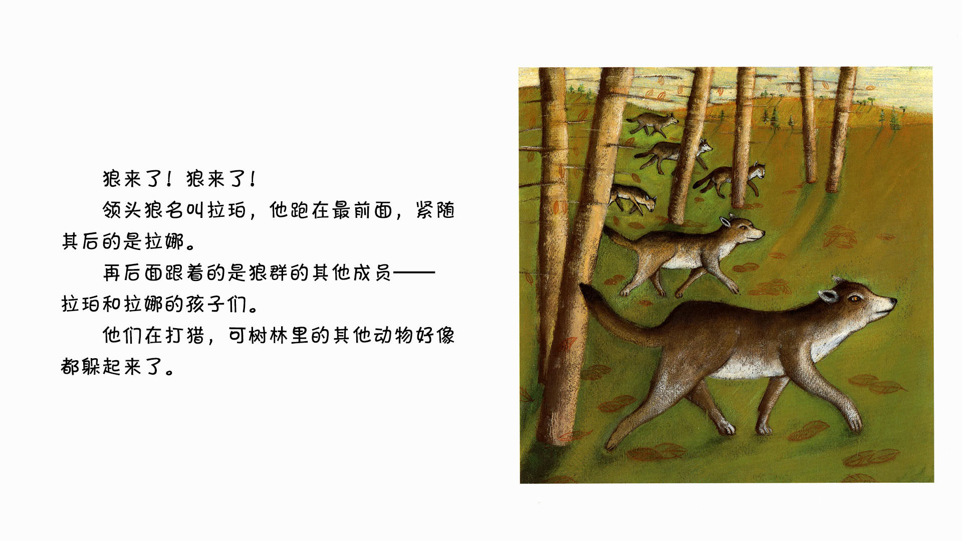 狼绘本故事第3页