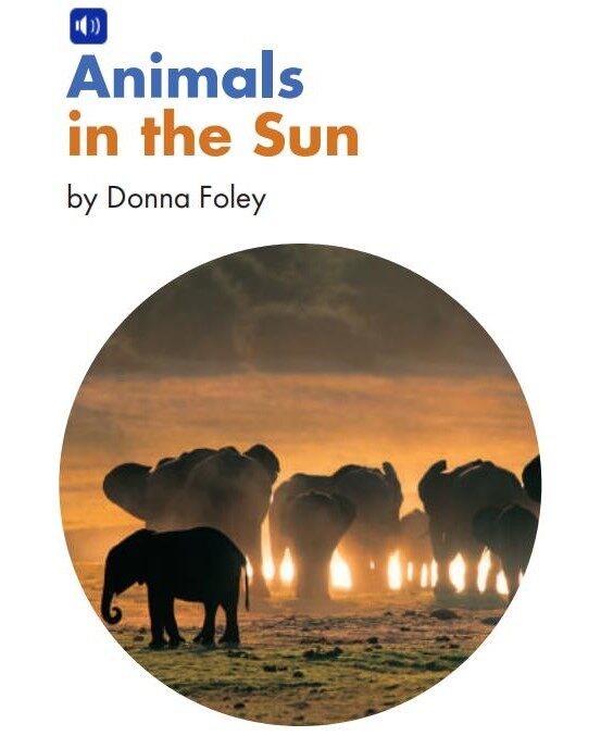 Animals in the Sun绘本故事第2页