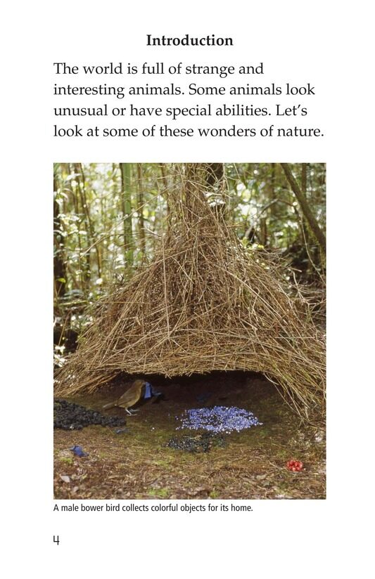 Wonders of Nature绘本故事第3页