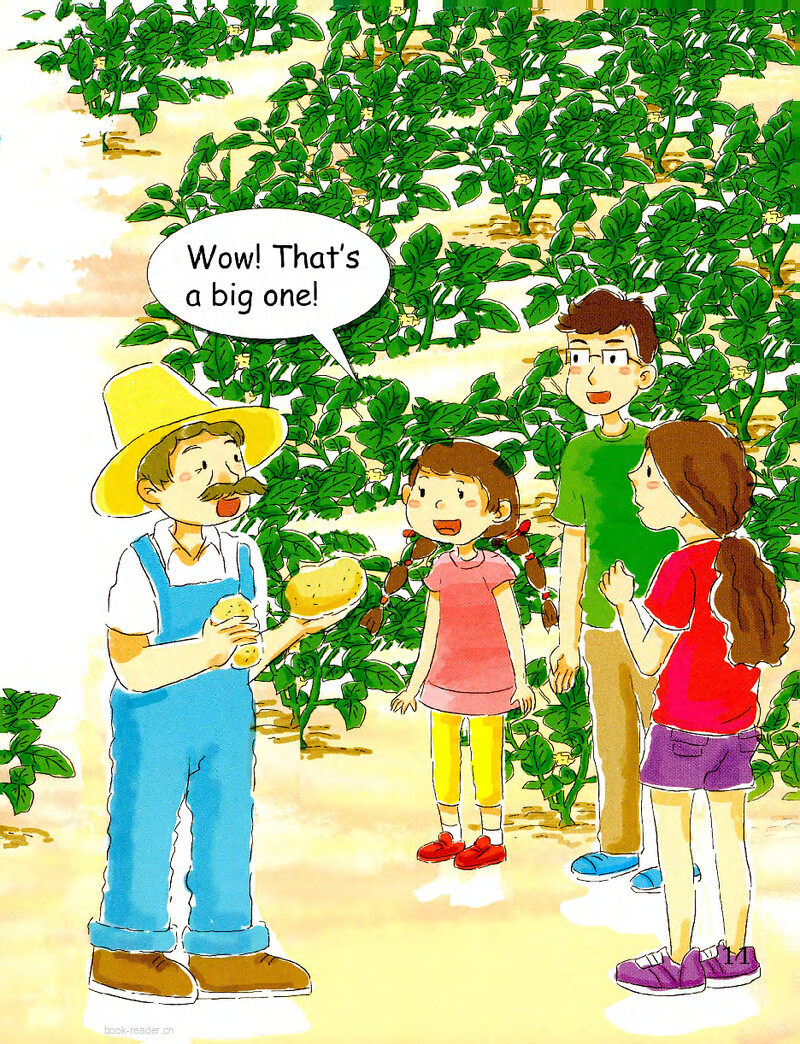 PEI Potatoes-2绘本故事第3页