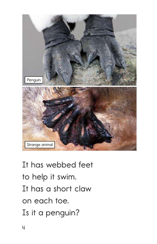 What in the World Is That绘本故事第4页