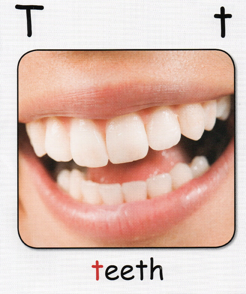 T绘本故事第3页