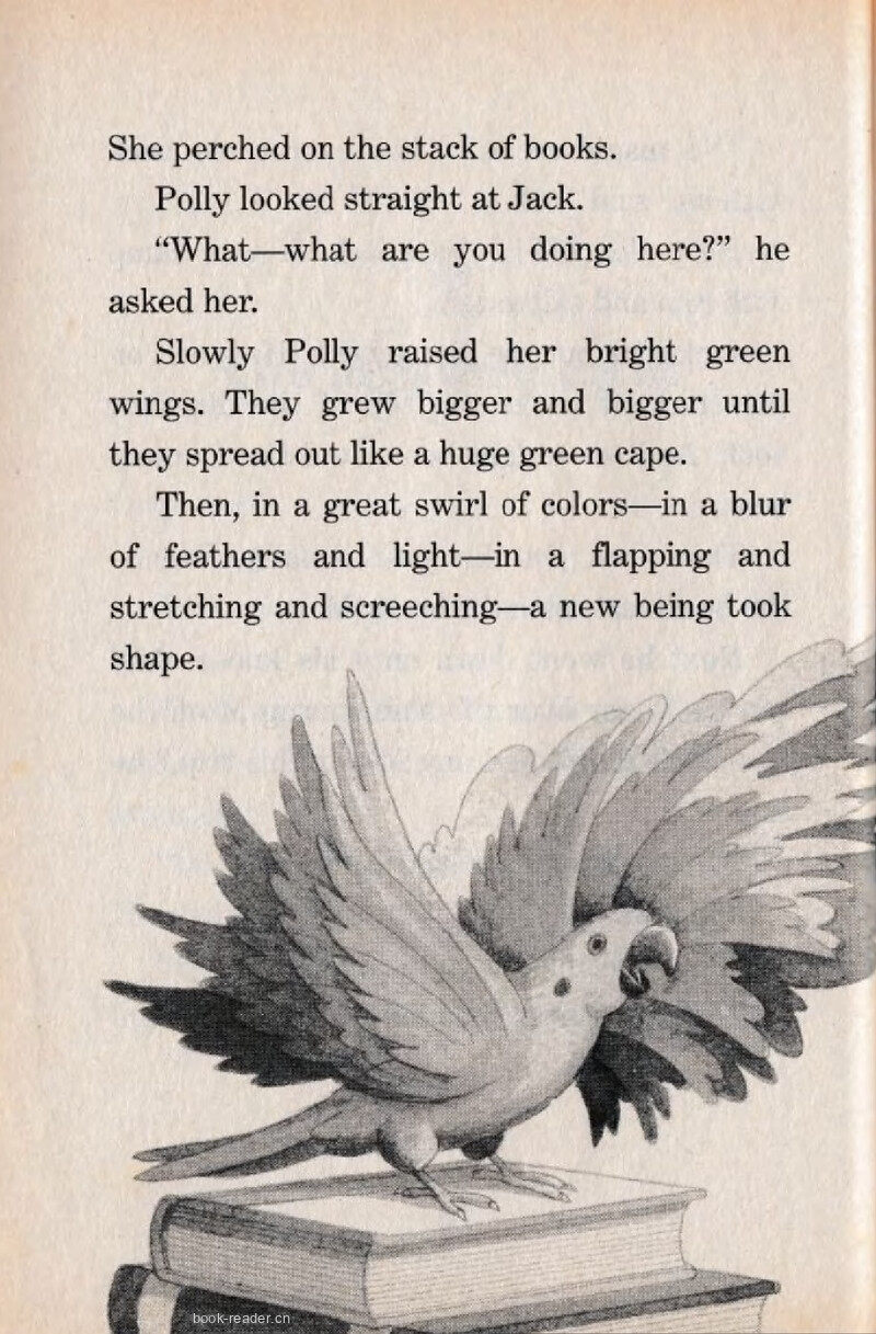 09 The Mysterious M绘本故事第4页