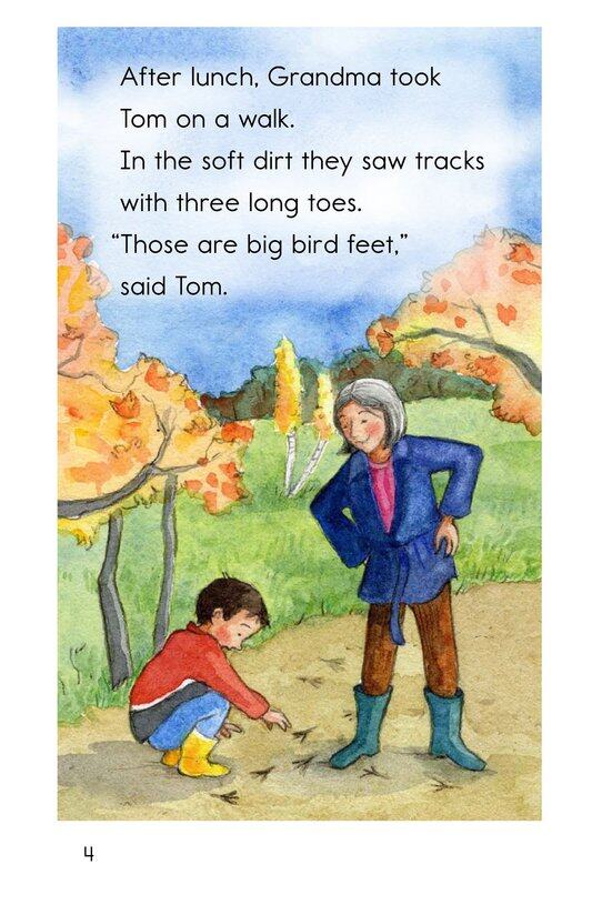 Turkeys in the Trees绘本故事第4页