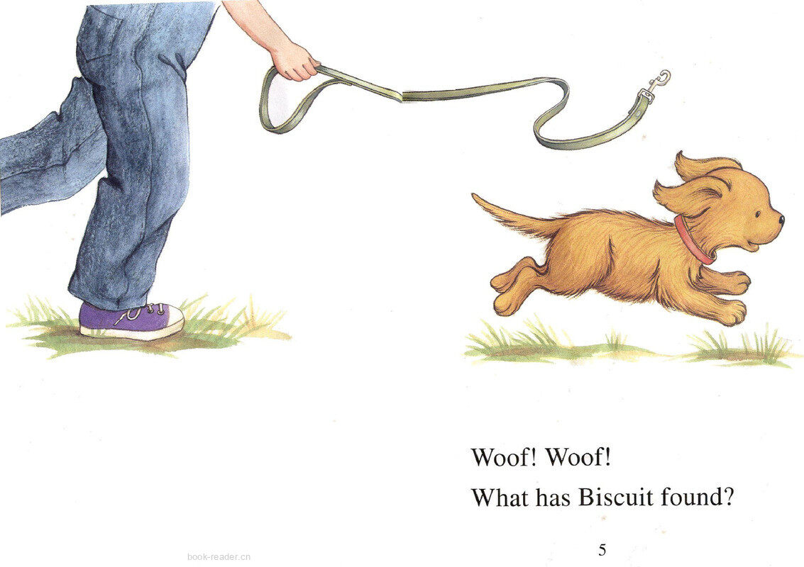 Biscuit Finds a Friend绘本故事第3页