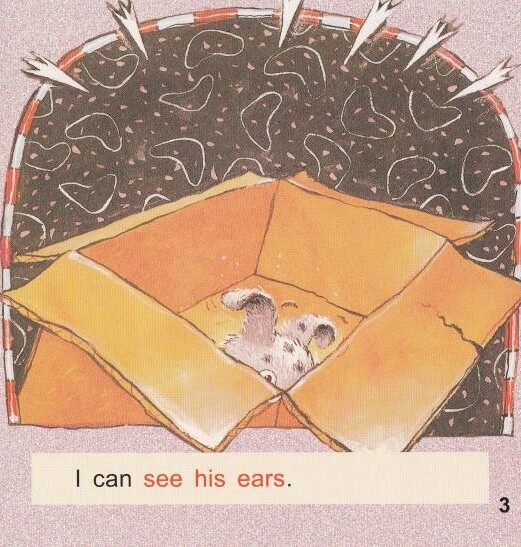 What is in the box绘本故事第4页