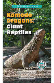 Komodo Dragons Giant Reptiles