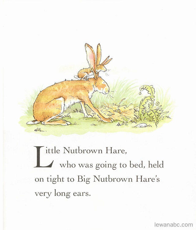 (21周)Guess How Much I Love You绘本故事第3页