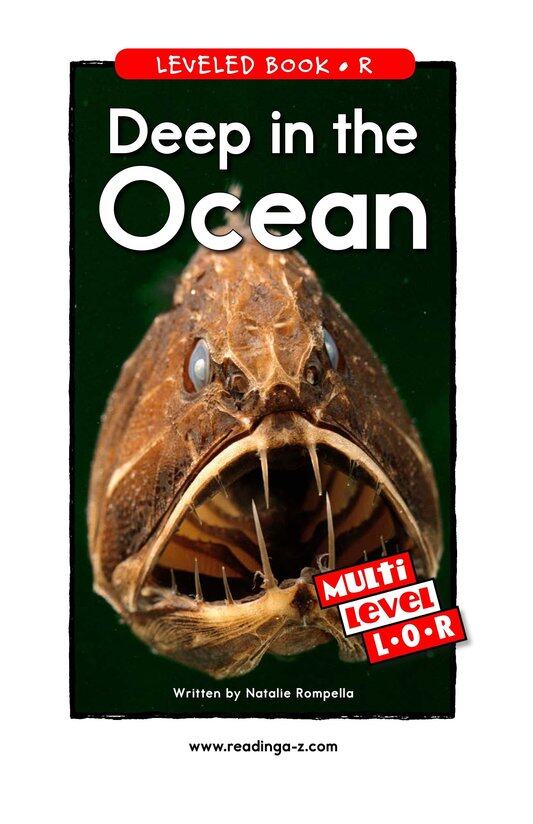 Deep in the Ocean绘本故事第2页