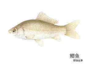 小小的圆点是什么绘本故事第3页