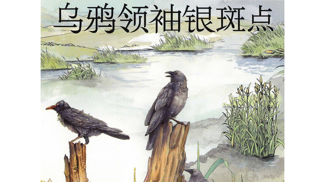 乌鸦领袖银斑点绘本故事第2页