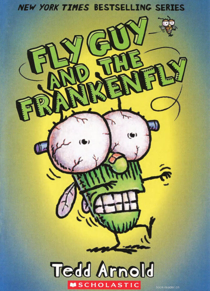 Fly Guy and the Frankenfly绘本故事第2页