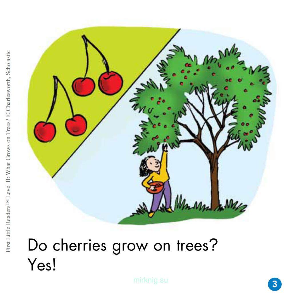 What Grows on Trees?绘本故事第4页
