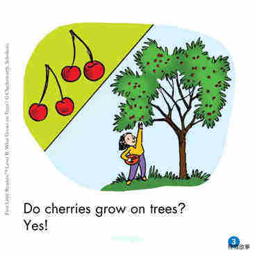 What Grows on Trees?绘本故事第4页