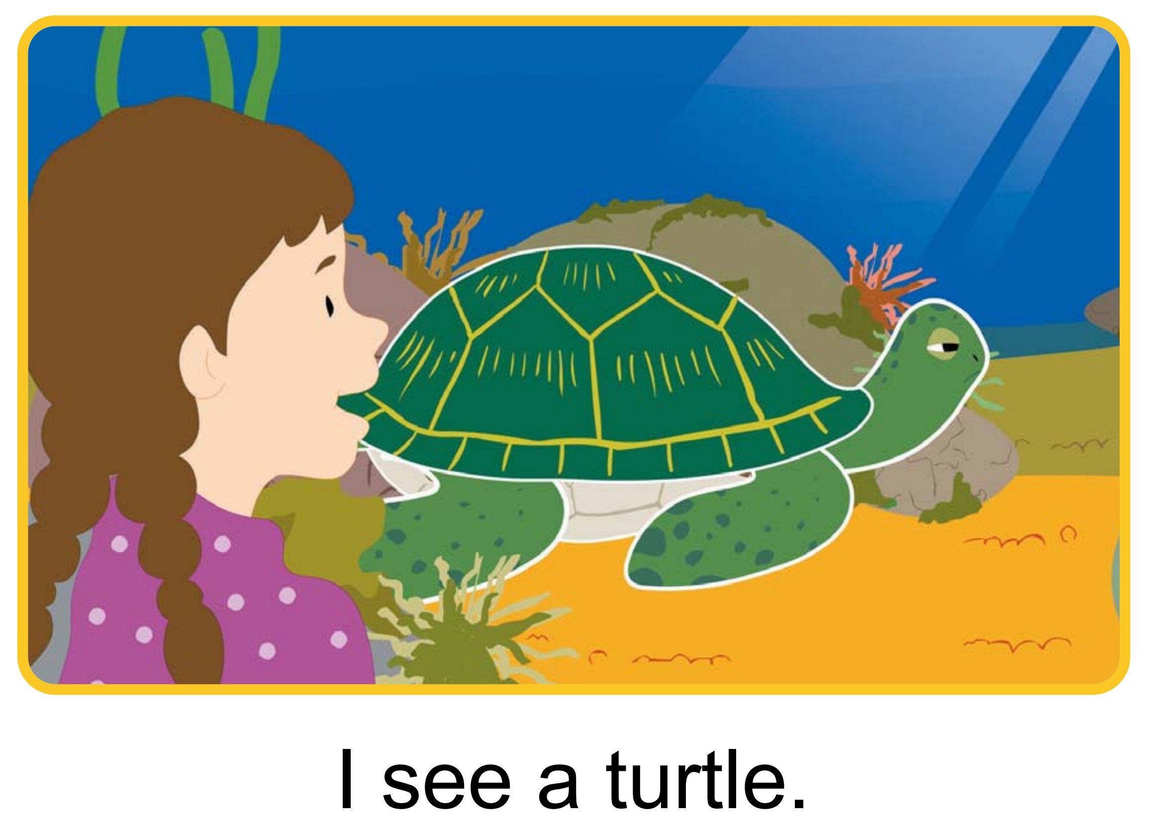 What Do You See?绘本故事第5页