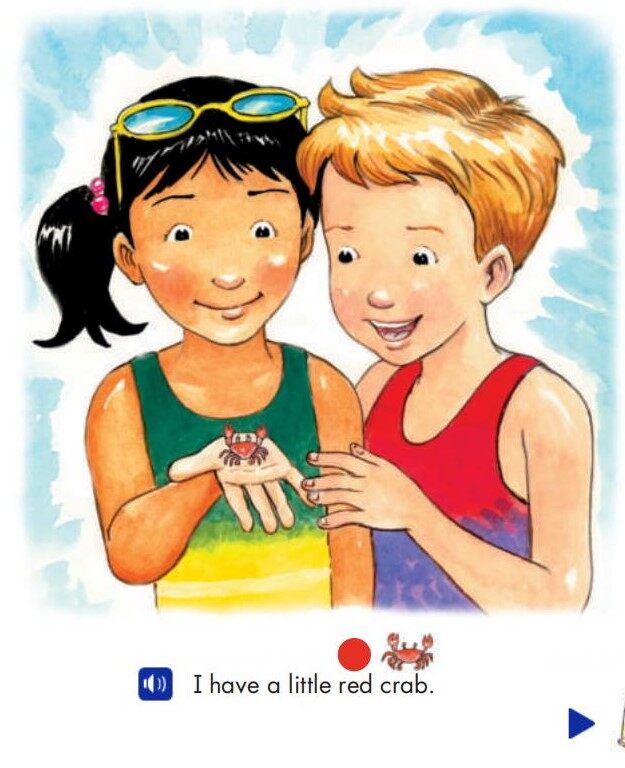 Tam at the Beach绘本故事第5页