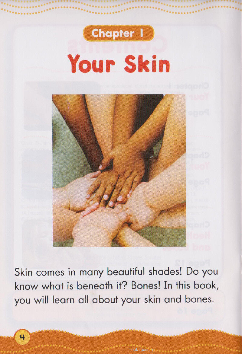 Your Skin and Bones绘本故事第3页