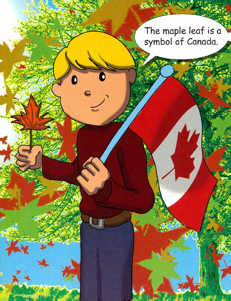 Canada Gets a Flag绘本故事第3页