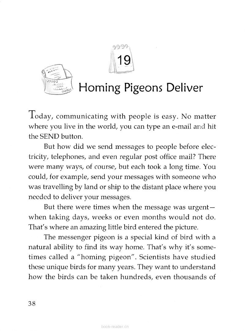 Homing Pigeons Deliver绘本故事第2页