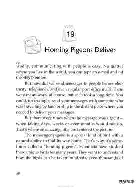 Homing Pigeons Deliver绘本故事第2页