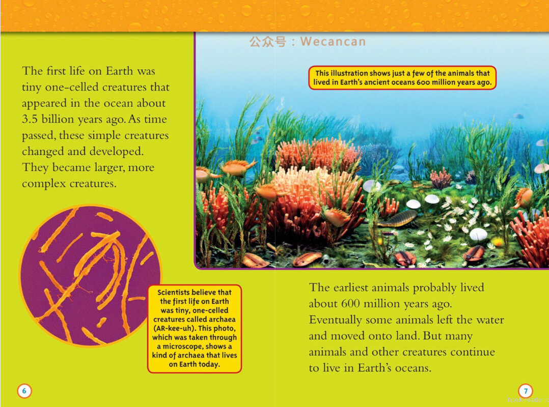 Water绘本故事第4页