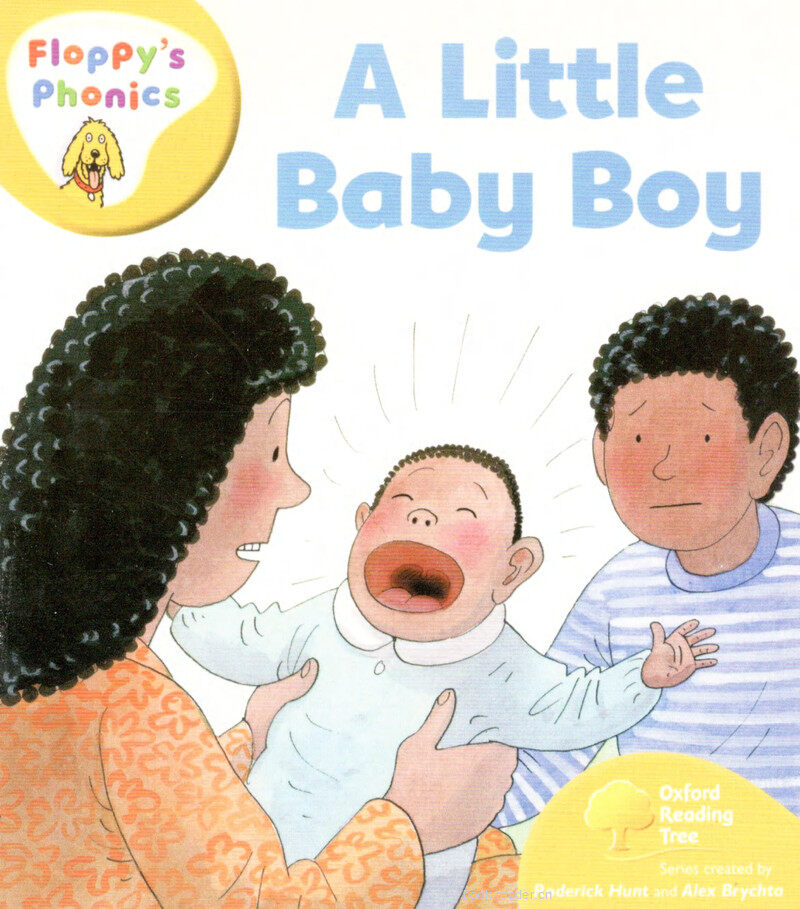 L5 A Little Baby Boy绘本故事第2页