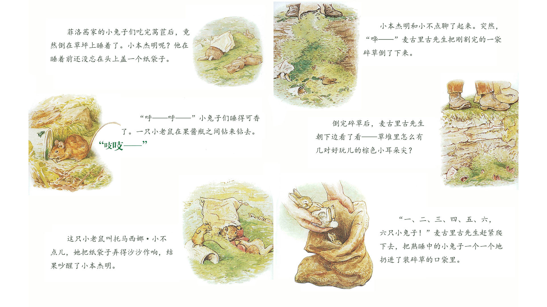 菲洛茜家的小兔子绘本故事第5页