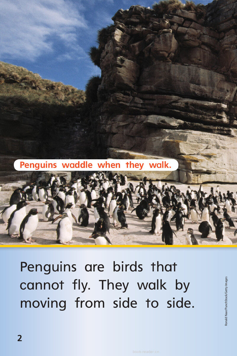 G1 App U4W2 Penguins All Around绘本故事第4页