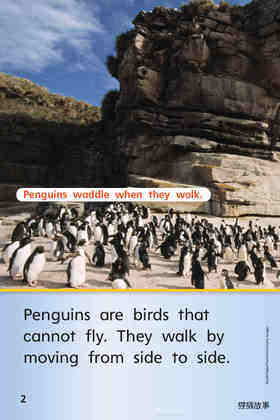 G1 App U4W2 Penguins All Around绘本故事第4页