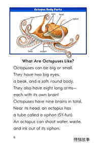 The Amazing Octopus绘本故事第5页