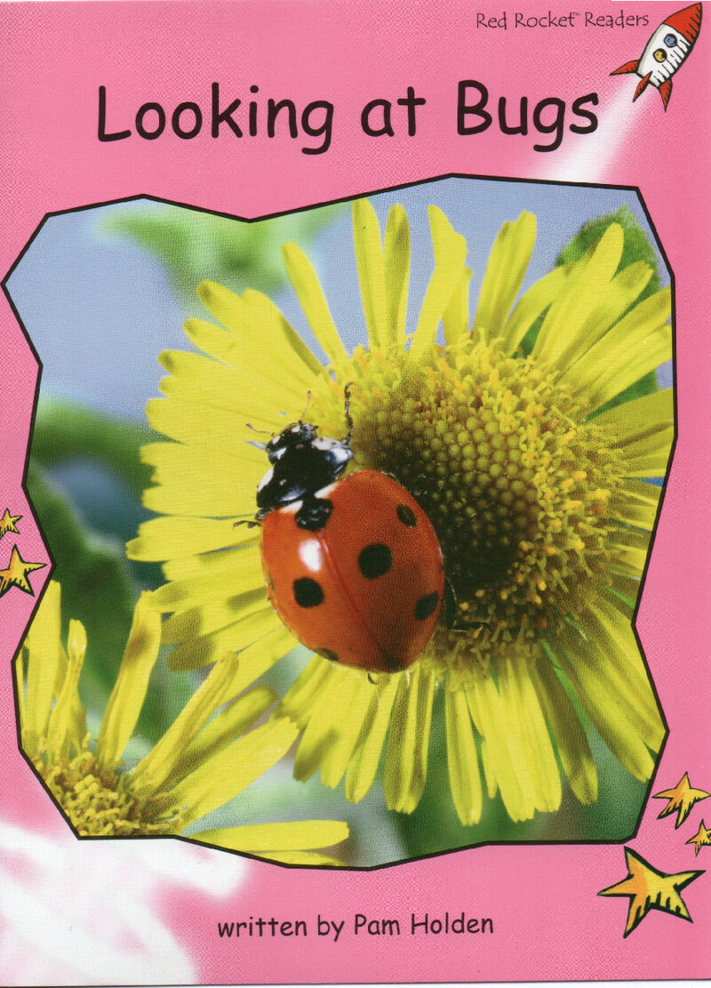 looking at bugs绘本故事第2页
