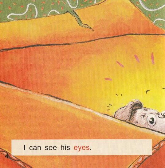 What is in the box绘本故事第5页