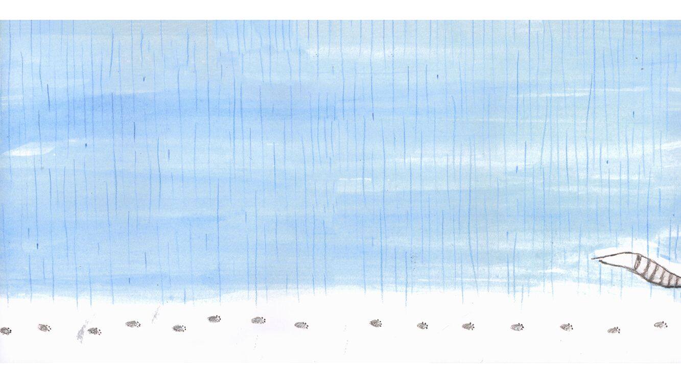 艾达和小水洼绘本故事第3页