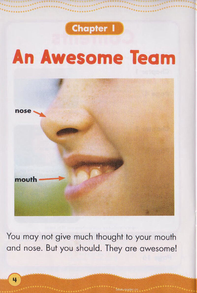 Your Mouth and Nose绘本故事第3页