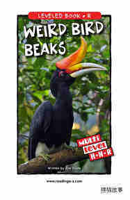 Weird Bird Beaks