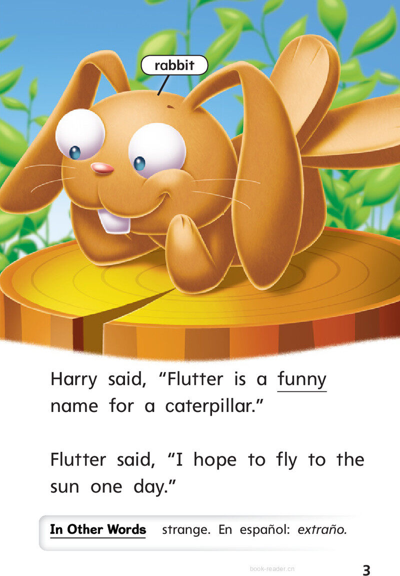 G1 ELL U5W2 Hide and Seek!绘本故事第5页