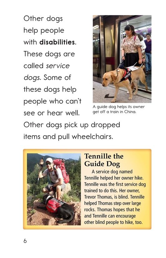 Dogs at Work绘本故事第5页