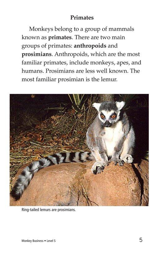 Monkey Business绘本故事第4页