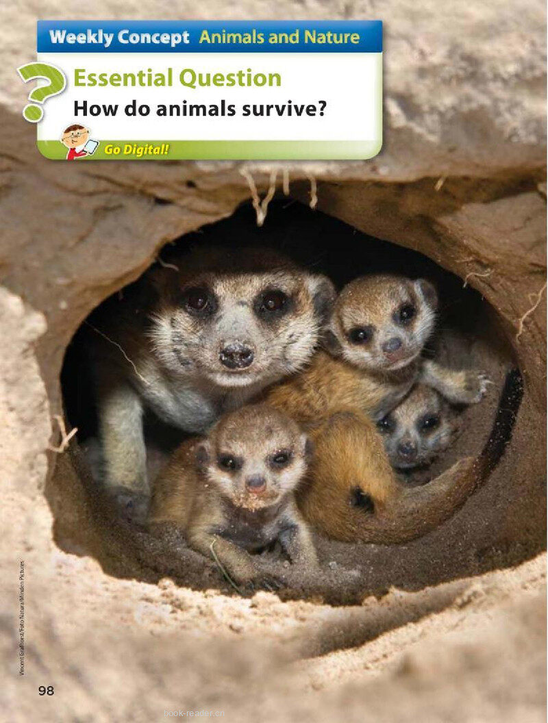 G2 Unit 2 Week 1绘本故事第5页