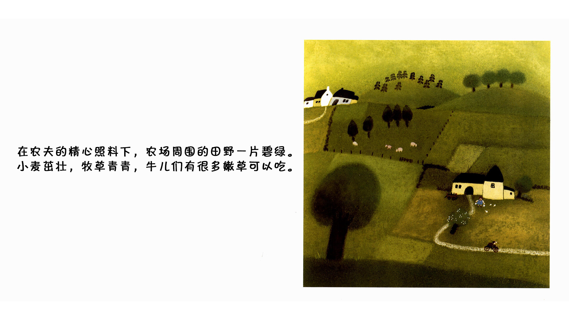 蒲公英  绘本故事第3页