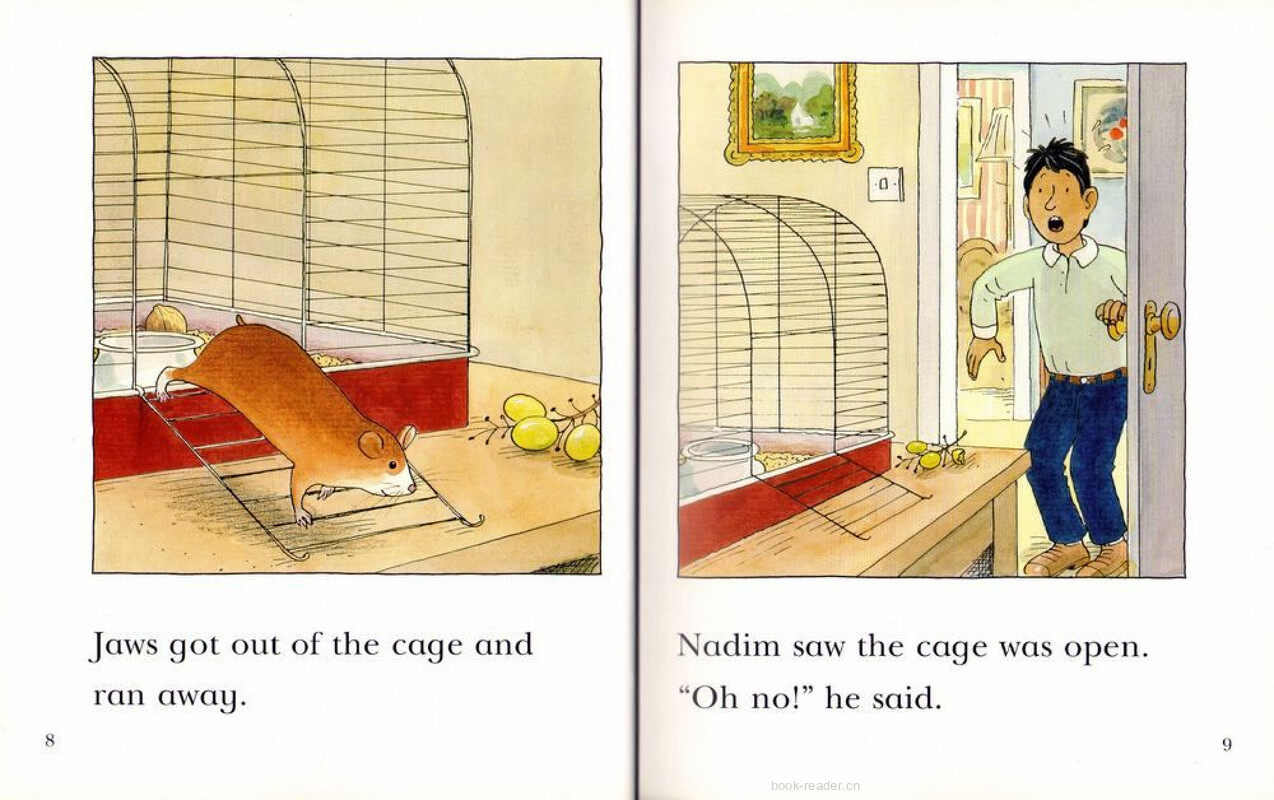 3A Missing绘本故事第5页