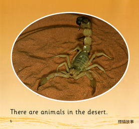 In the Desert绘本故事第5页