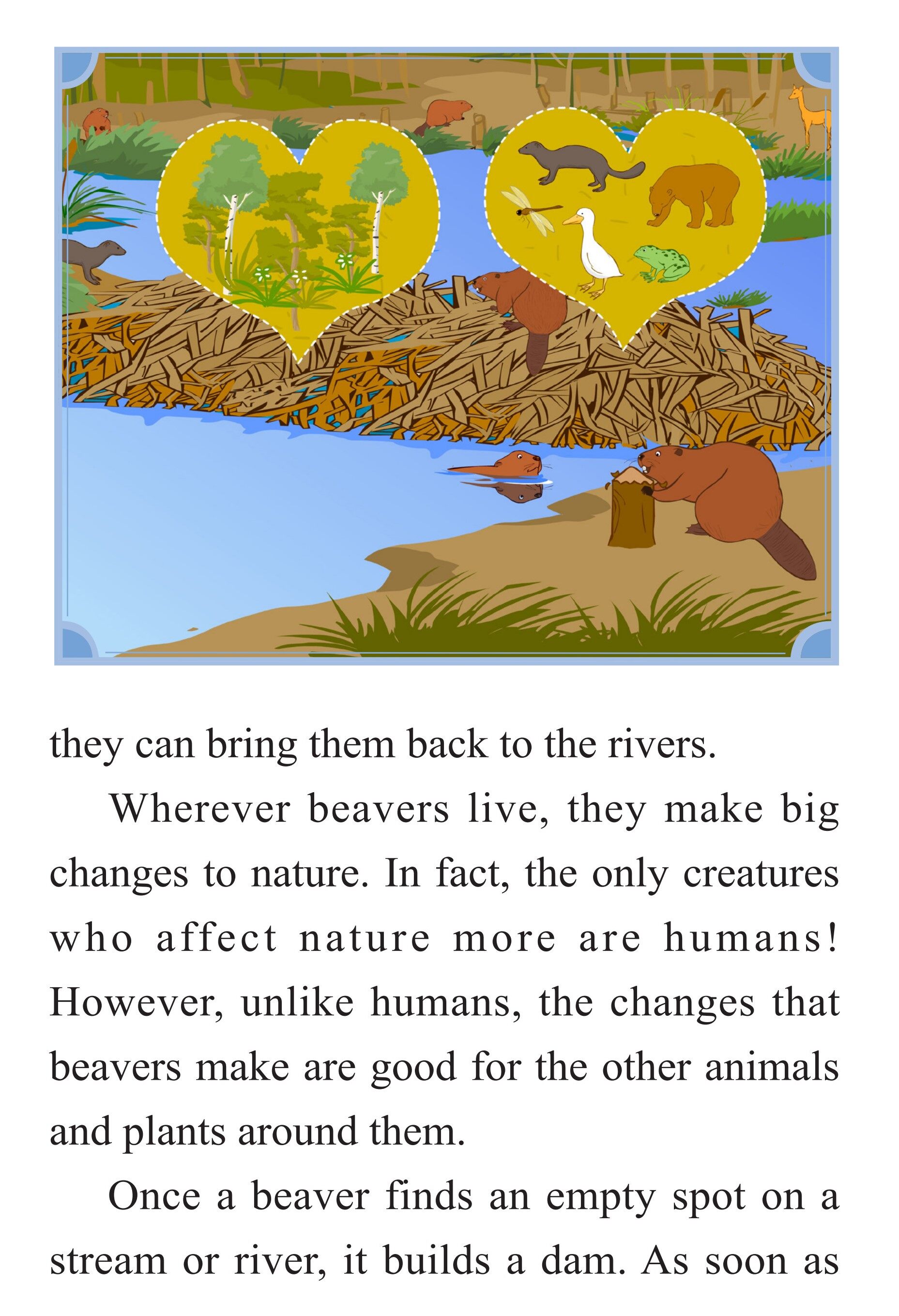 The Clean Beaver绘本故事第4页