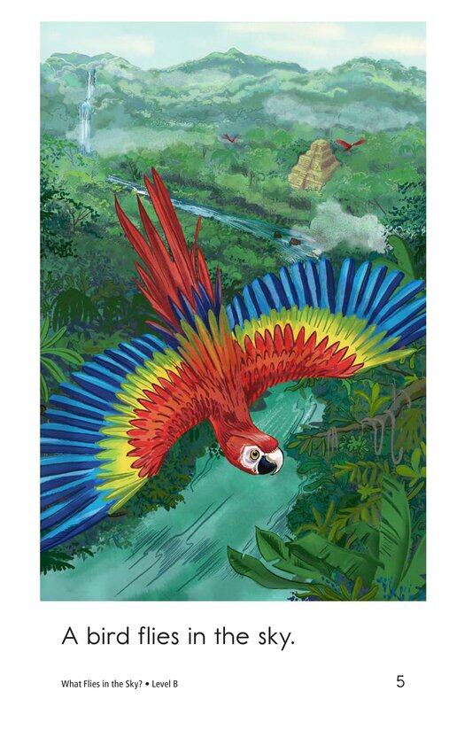 What Flies in the Sky绘本故事第5页