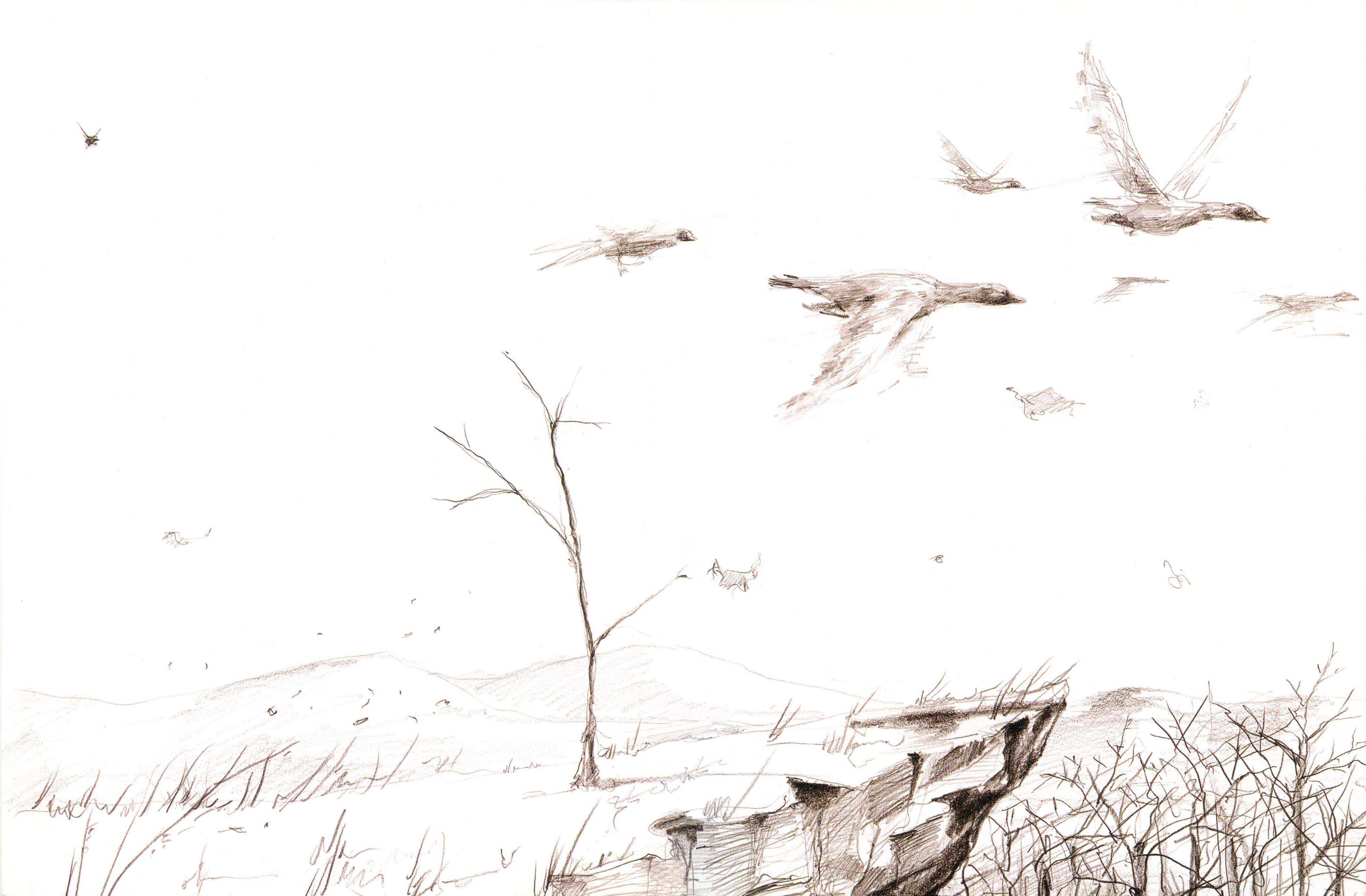 松鼠先生和第一场雪绘本故事第2页