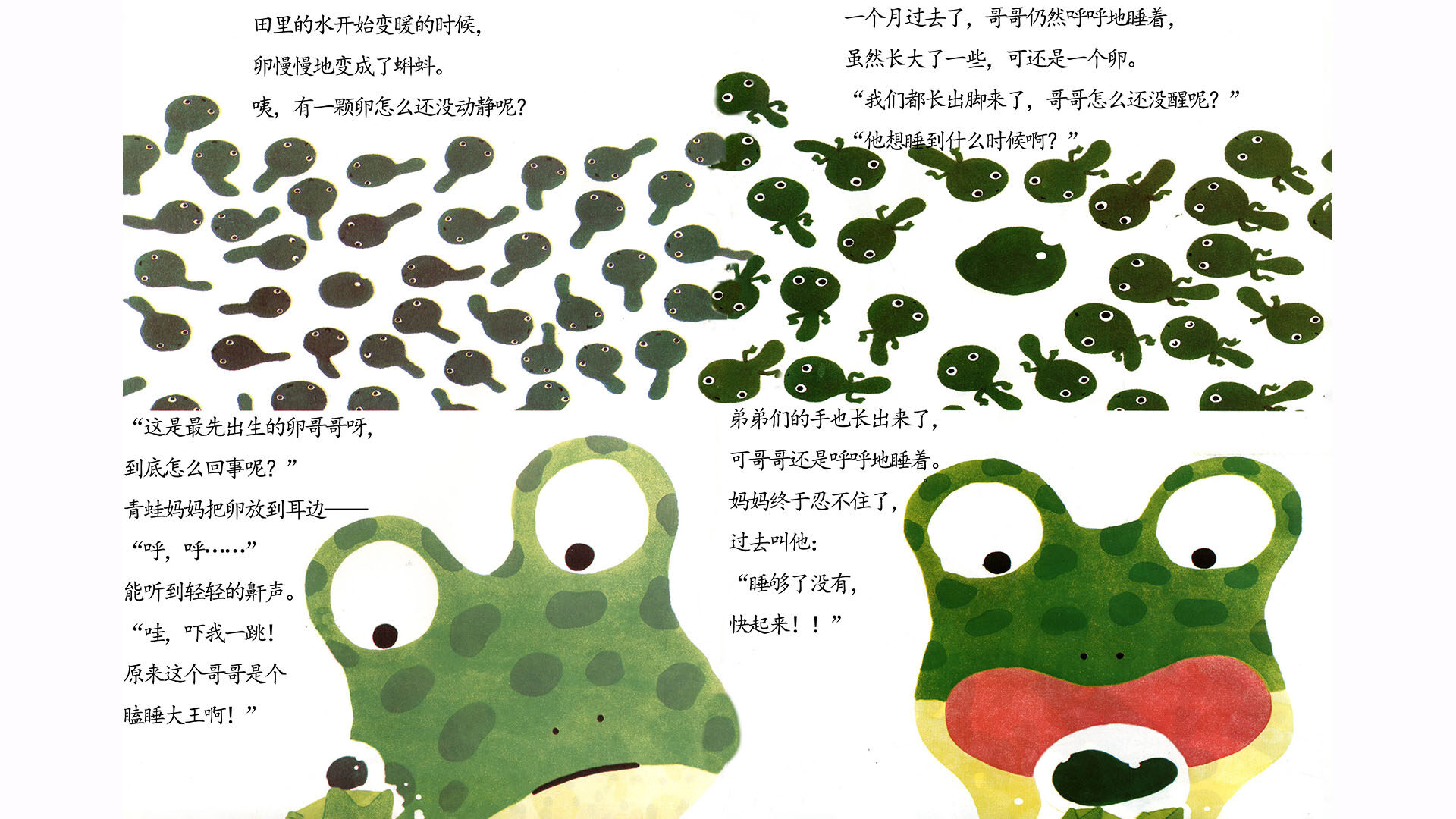   999个青蛙兄弟绘本故事第4页