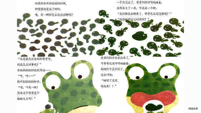   999个青蛙兄弟绘本故事第4页