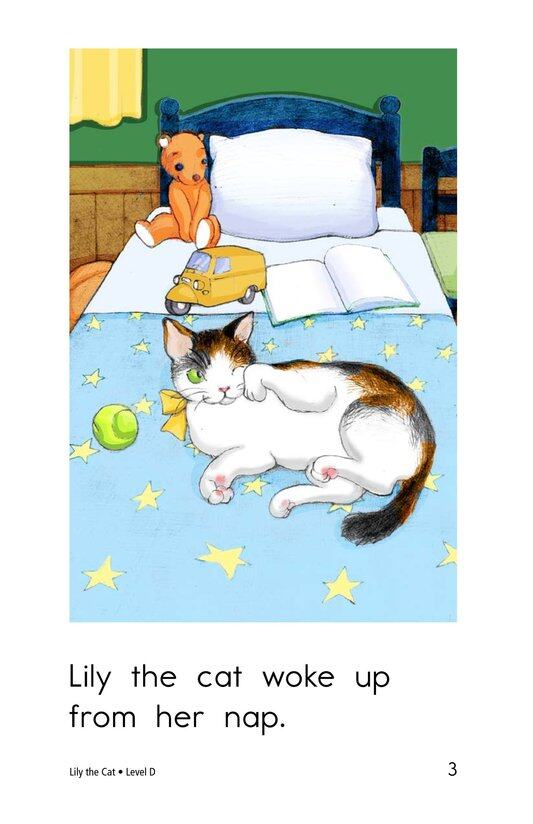Lily the Cat绘本故事第3页