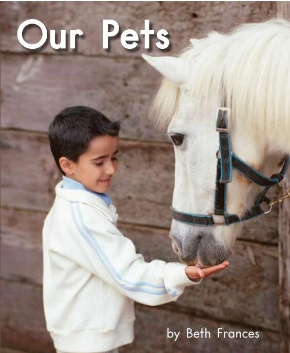 Our pets绘本故事第2页