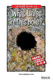 What Lives in This Hole